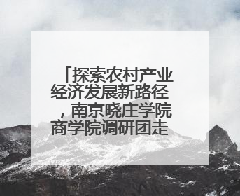 探索农村产业经济发展新路径，南京晓庄学院商学院调研团走访安徽绩溪