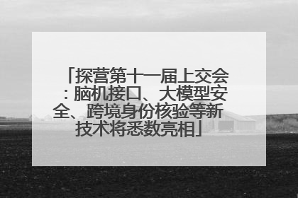 探营第十一届上交会：脑机接口、大模型安全、跨境身份核验等新技术将悉数亮相