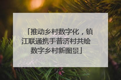 推动乡村数字化，镇江联通携手普济村共绘数字乡村新图景