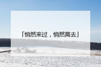悄然来过，悄然离去