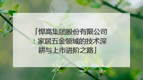 悍高集团股份有限公司：家居五金领域的技术深耕与上市进阶之路