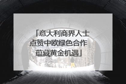 意大利商界人士点赞中欧绿色合作蕴藏黄金机遇