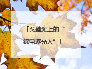 戈壁滩上的“绿电逐光人”