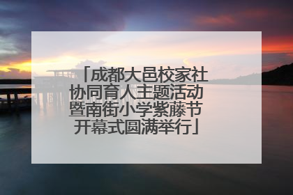 成都大邑校家社协同育人主题活动暨南街小学紫藤节开幕式圆满举行