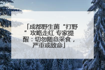 成都野生菌“打野”攻略走红 专家提醒：切勿随意采食，严重或致命