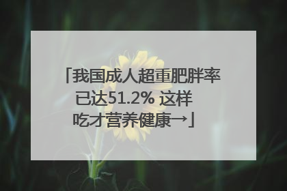 我国成人超重肥胖率已达51.2% 这样吃才营养健康→