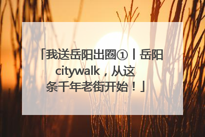 我送岳阳出圈①丨岳阳citywalk，从这条千年老街开始！