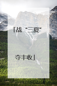 战“三夏” 夺丰收