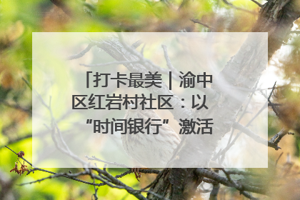 打卡最美｜渝中区红岩村社区：以“时间银行”激活垃圾分类新动能
