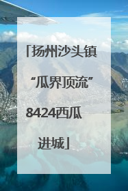 扬州沙头镇“瓜界顶流”8424西瓜进城