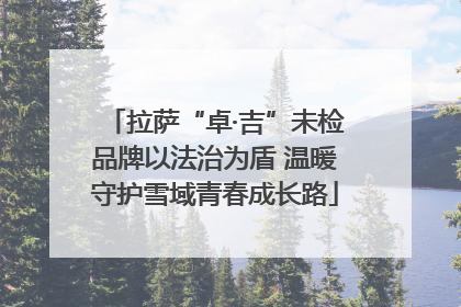 拉萨“卓·吉”未检品牌以法治为盾 温暖守护雪域青春成长路