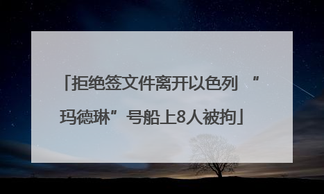 拒绝签文件离开以色列 “玛德琳”号船上8人被拘