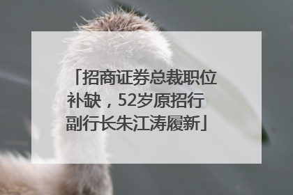 招商证券总裁职位补缺，52岁原招行副行长朱江涛履新