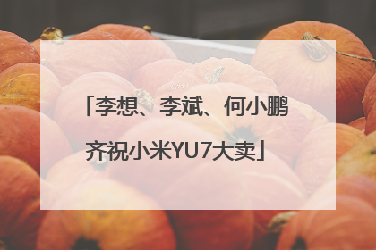 李想、李斌、何小鹏齐祝小米YU7大卖