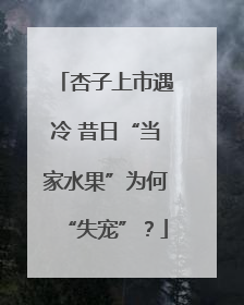 杏子上市遇冷 昔日“当家水果”为何“失宠”？