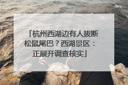 杭州西湖边有人拔断松鼠尾巴？西湖景区：正展开调查核实