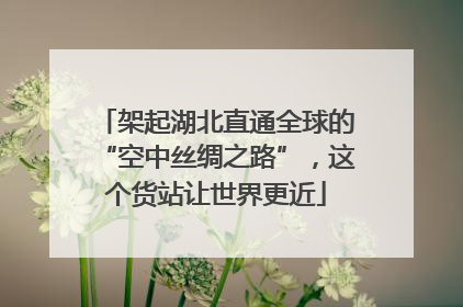 架起湖北直通全球的“空中丝绸之路”，这个货站让世界更近