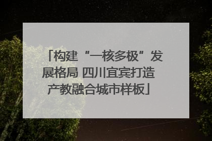 构建“一核多极”发展格局 四川宜宾打造产教融合城市样板