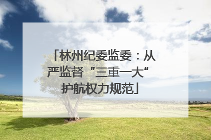 林州纪委监委：从严监督“三重一大” 护航权力规范