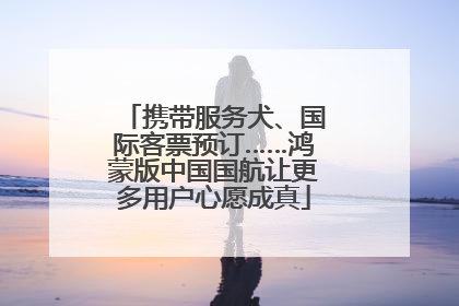 携带服务犬、国际客票预订……鸿蒙版中国国航让更多用户心愿成真