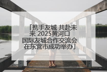 携手友城 共赴未来 2025黄河口国际友城合作交流会在东营市成功举办