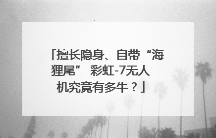 擅长隐身、自带“海狸尾” 彩虹-7无人机究竟有多牛？