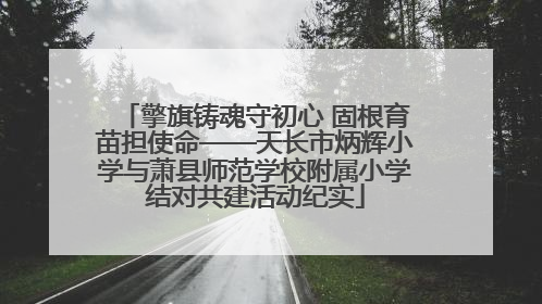擎旗铸魂守初心 固根育苗担使命——天长市炳辉小学与萧县师范学校附属小学结对共建活动纪实