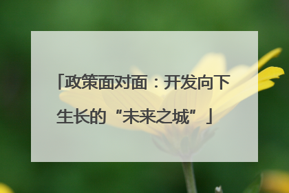 政策面对面：开发向下生长的“未来之城”