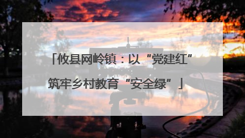 攸县网岭镇：以“党建红”筑牢乡村教育“安全绿”