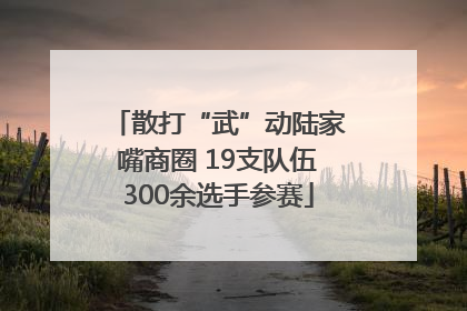 散打“武”动陆家嘴商圈 19支队伍300余选手参赛