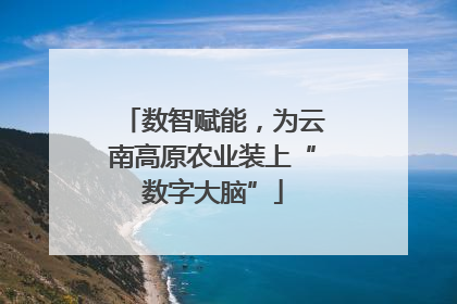数智赋能，为云南高原农业装上“数字大脑”