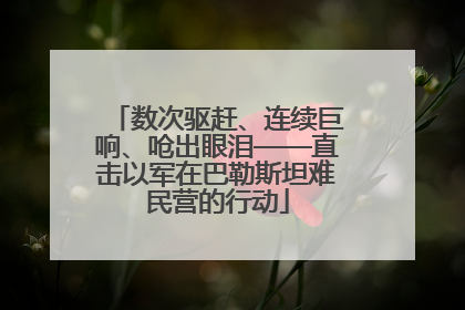 数次驱赶、连续巨响、呛出眼泪——直击以军在巴勒斯坦难民营的行动