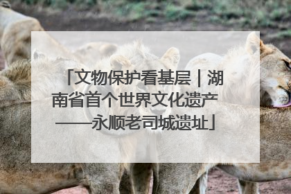 文物保护看基层｜湖南省首个世界文化遗产——永顺老司城遗址