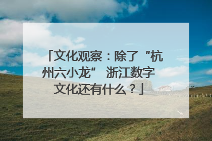 文化观察：除了“杭州六小龙” 浙江数字文化还有什么？