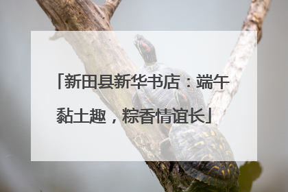 新田县新华书店：端午黏土趣，粽香情谊长