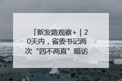 新发路观察+｜20天内，省委书记两次“四不两直”暗访，有何深意？