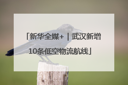 新华全媒+｜武汉新增10条低空物流航线