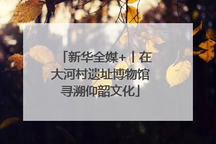 新华全媒+丨在大河村遗址博物馆寻溯仰韶文化