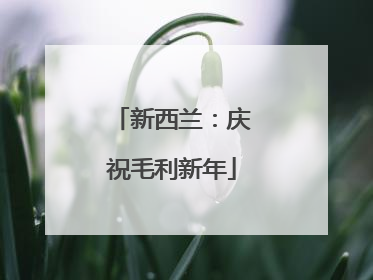 新西兰：庆祝毛利新年