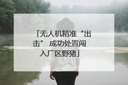 无人机精准“出击” 成功处置闯入厂区野猪