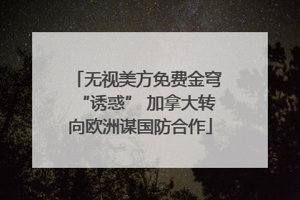 无视美方免费金穹“诱惑” 加拿大转向欧洲谋国防合作