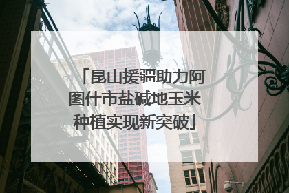昆山援疆助力阿图什市盐碱地玉米种植实现新突破