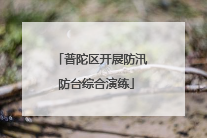 普陀区开展防汛防台综合演练