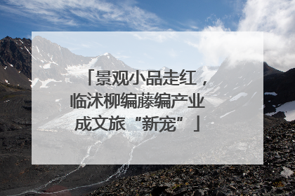 景观小品走红，临沭柳编藤编产业成文旅“新宠”