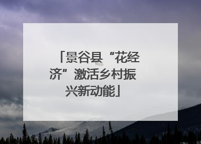景谷县“花经济”激活乡村振兴新动能