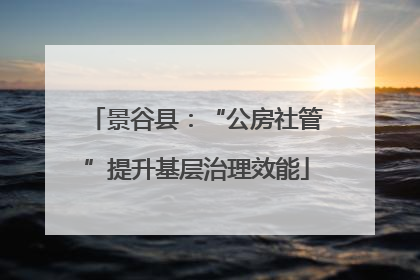 景谷县：“公房社管”提升基层治理效能