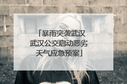 暴雨突袭武汉 武汉公交启动恶劣天气应急预案