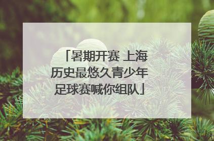暑期开赛 上海历史最悠久青少年足球赛喊你组队