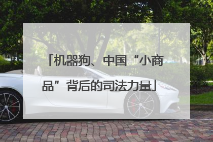 机器狗、中国“小商品”背后的司法力量