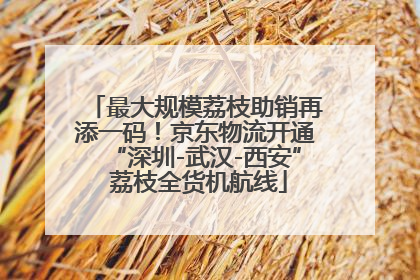 最大规模荔枝助销再添一码！京东物流开通“深圳-武汉-西安” 荔枝全货机航线